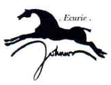 cheval.jpg (5298 octets)